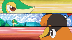 Pokepapers tweet picture