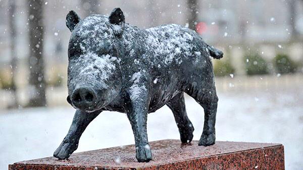 ArkansasSAA's tweet photo. The Hogs were nestled all snug in their beds,
While visions of RazAlert danced in their heads.
Good night &amp; be safe! http://t.co/tRgMWPylRe