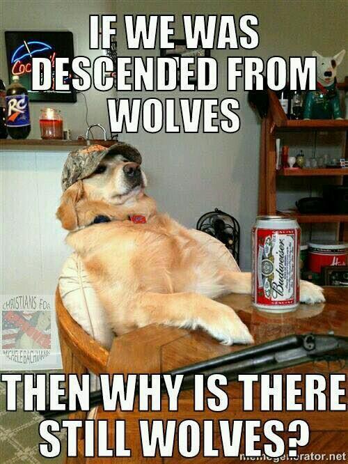 B98VtlsCcAAnM9c.jpg:large