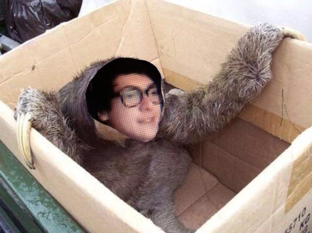 httpsgraser tweet picture