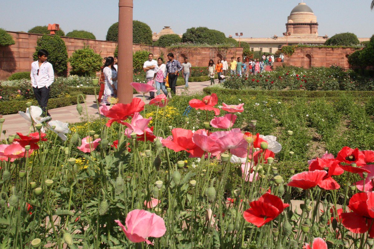 POI13's tweet photo. Over 43,000 persons visited Mughal Gardens on first weekend; Gardens open all days, except Mondays till March 15 http://t.co/eYiH627qNq