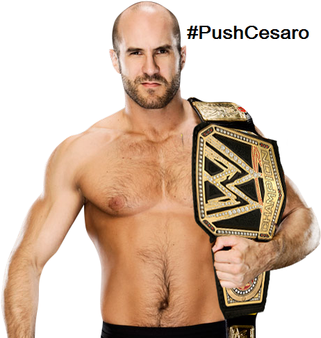TMann619x's tweet photo. RT or FAV if you want this to happen. #PushCesaro @WWECesaro http://t.co/gOPu8epxh3