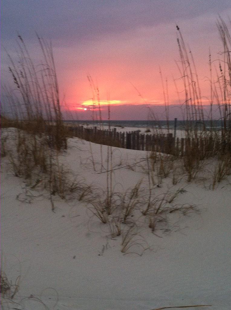 bamanurse14's tweet photo. @Ginger_Zee @JimCantore @michaelwhitewx #sunrise #fortmorganAL by @Ibbykabowski http://t.co/HbtKbUPoCy