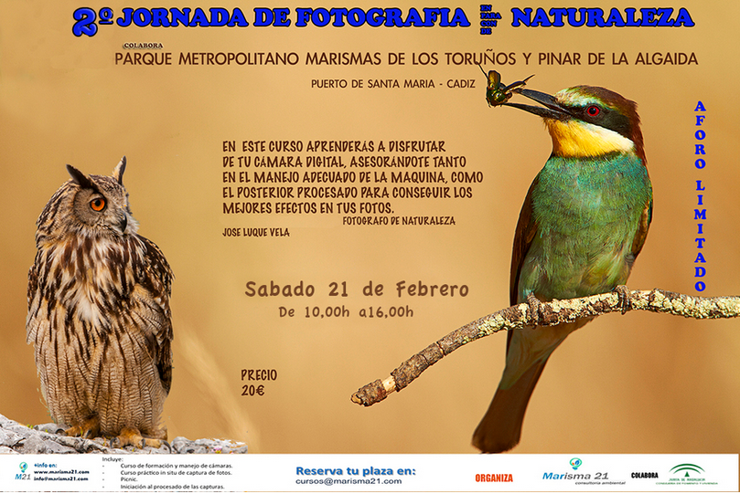 Marisma_21's tweet photo. Nuevo Curso de fotografría de nauraleza en Los Toruños  #cursos #fotografía #Cádiz #fotos #naturaleza http://t.co/bsoenxhgb1