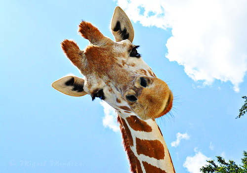 Here's to the start of another lovely week...keep smiling!