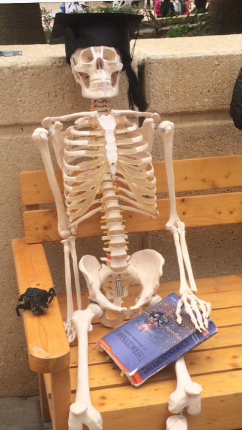 لن يفهمها الى طلبه الهندسه