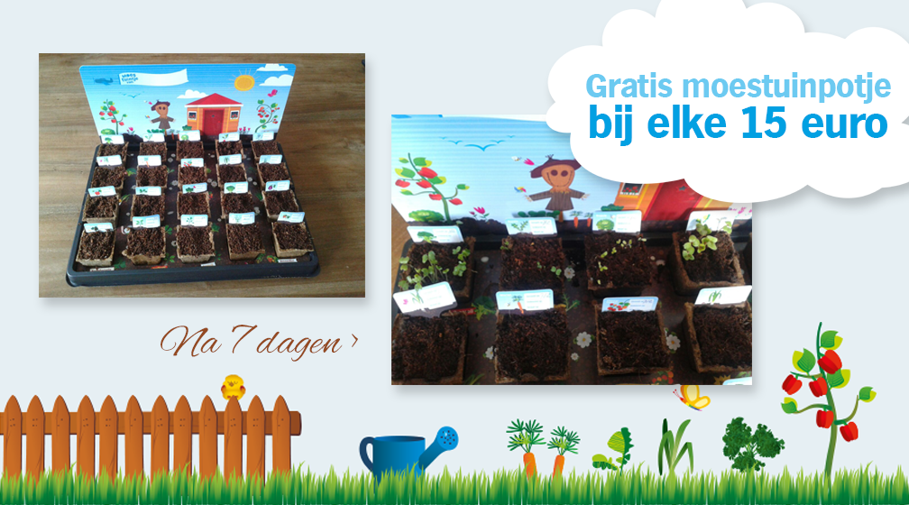 Bij iedere €15 aan boodschappen een gratis moestuinpotje! #groenevingers