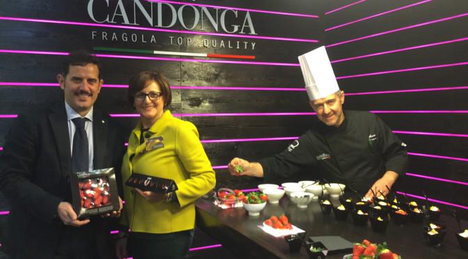 CandongaTop's tweet photo. #@FRUIT_LOGISTICA #candongaitalia #fragola #top_quality #basilicata
ARTICOLO: http://t.co/xjA6QjgMMB http://t.co/c6Cqw0110f