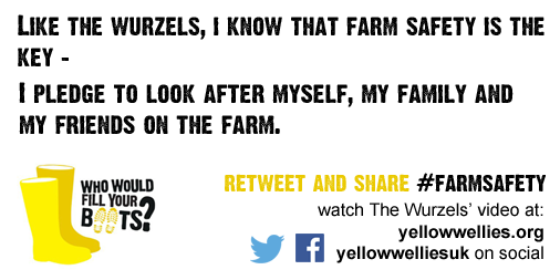 Watched the <a href="/TheWurzels/">The Wurzels🎶</a> video? RT our <a href="/yellowwelliesuk/">Farm Safety Foundation</a> #FarmSafety pledge and promise to stay safe on the farm
