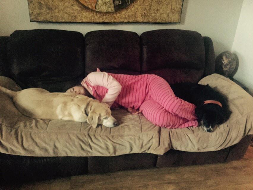 hbroadhead94's tweet photo. @hbroadhead94: Becky sandwich with dogs, she's only been up an hour @KeilleyB @garyjbroadhead @becksbroadhead #lazy http://t.co/0Y5hecXiRh