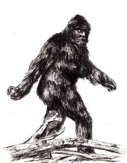 JamesBenn6's tweet photo. @midgemullen what u think of this for my profile pic midge pmsl #bigfootrules http://t.co/9mqiwlEwqm