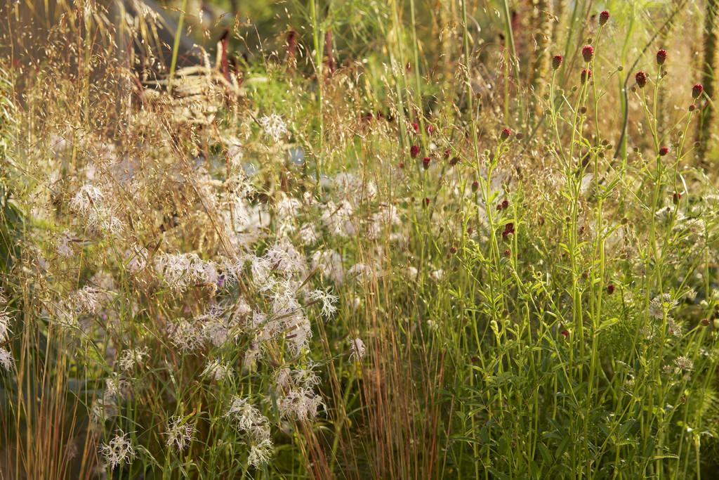 The_RHS's tweet photo. A certain film might have disappointed the masses this weekend, but we never let you down! #50ShadesOfGreen http://t.co/xxHEb0Brhr