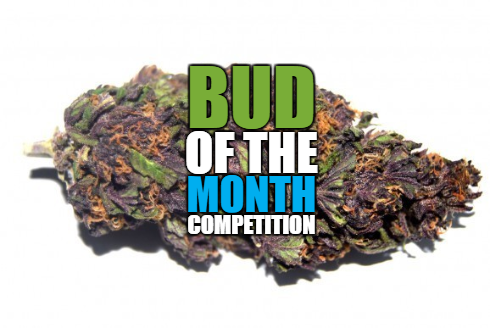 4twentyconnect's tweet photo. A Social Network For The #Cannabis Community - http://t.co/vHGnhlSYzC

#mmj #sativa #indica #marijuana #seeds #share http://t.co/oRzkMCXXc9
