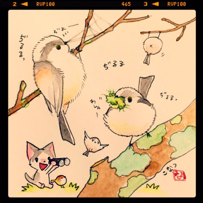野鳥観察絵日記:エナガは素早すぎて何してるのか全然見えないけど、よーく見たら苔やクモの巣を口いっぱいにくわえて集めていました。それを使ってモコモコの巣をつくるのねー 