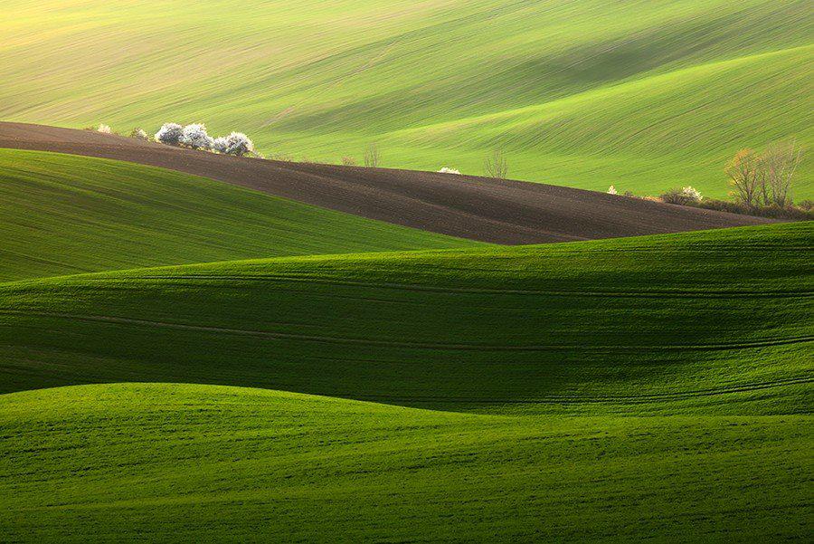 Amazing__Photo tweet picture