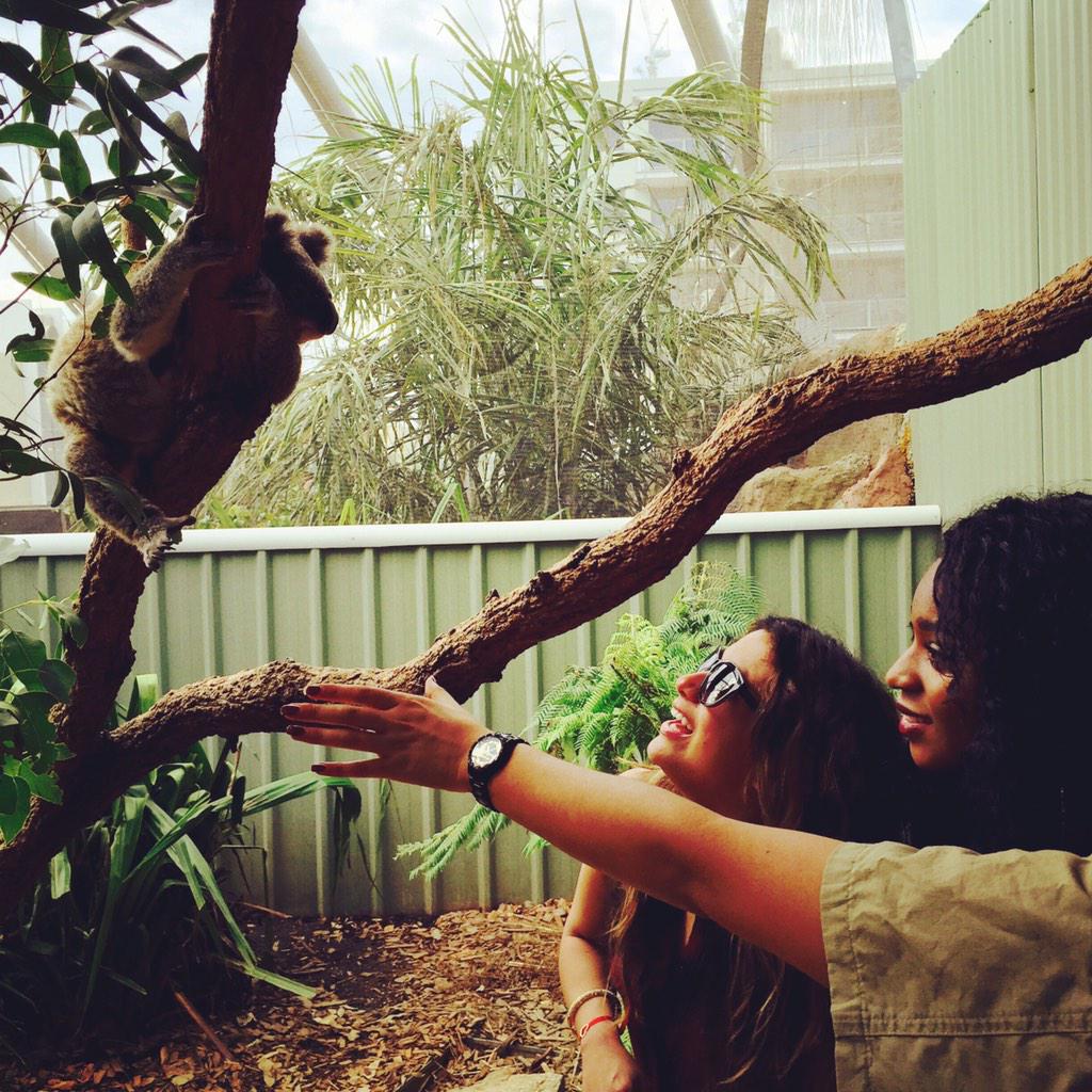 Normani tweet picture