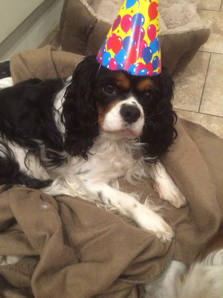  Wishing you a very Happy Birthday 