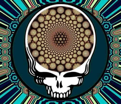 pawhite's tweet image. GM Gang @Cray10Angie @Lyferdeadhead @nickvanwhy @ToryTdobbs @terrapinTturtle @tomcorsie @JoeDeaton1 @pjl1015