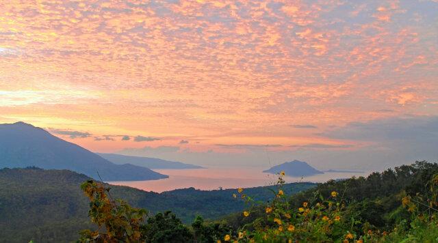 #ZOOMALOR tweet media