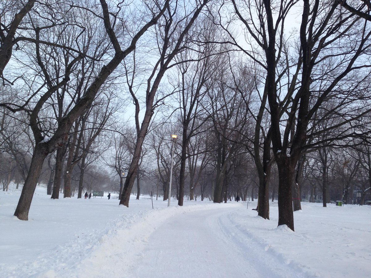 LeGite185's tweet photo. Que faites vous aujourd'hui ? :D #snow #montreal #winter #goodday #tourisme #landscapes #parcdelafontaine http://t.co/M2gOd0Zuub