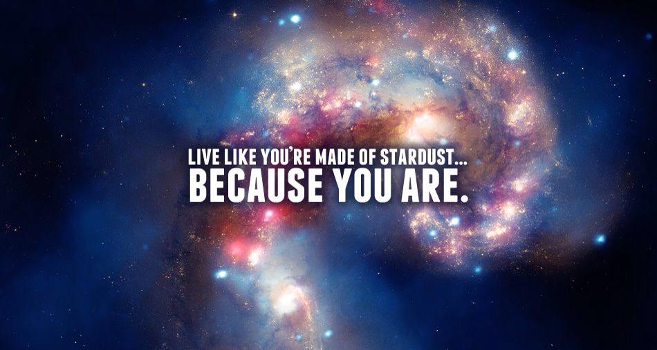 monkeymagic1972's tweet image. 