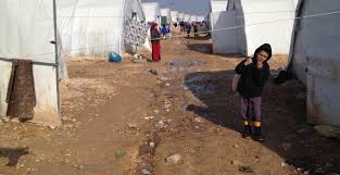 narrojava's tweet image. Ji Kobaniyan re 60 kon
Welatiyeke bi navê Fatma Balîboz a li Elmanyayê dijî, ji bo piştevanî û
ku.firatajans.com/news/rojane/ji…