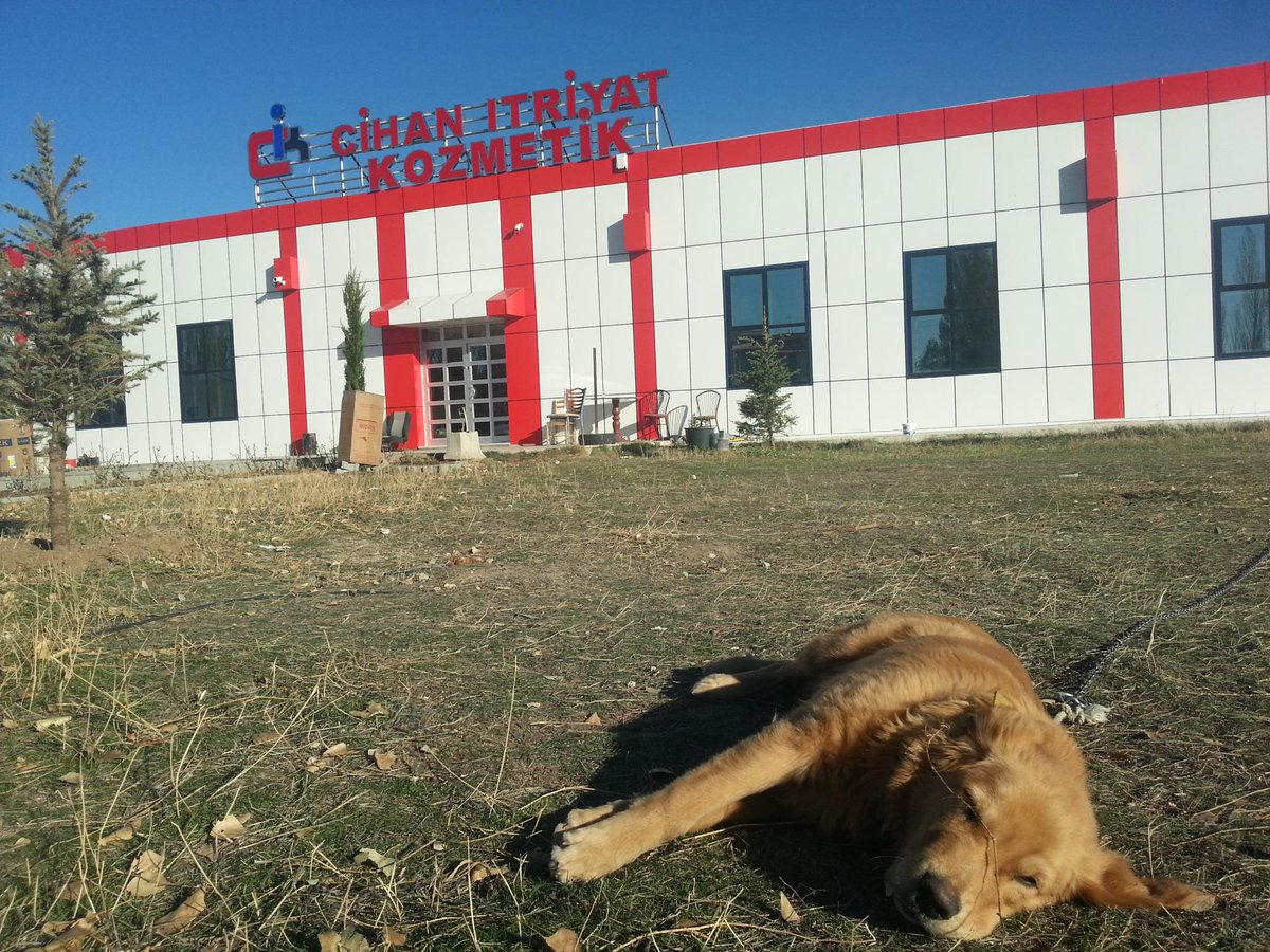 yaz günü depodan bir kare