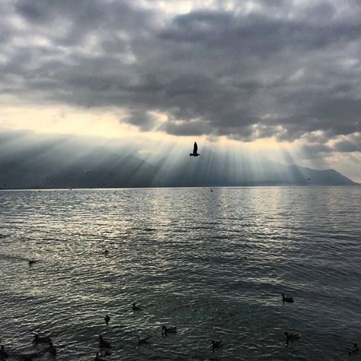 20minutesOnline's tweet photo. Le cliché de Sandra, pris depuis #Montreux avec vue sur la France #LecteurReporter http://t.co/ceN2c2SFMz
