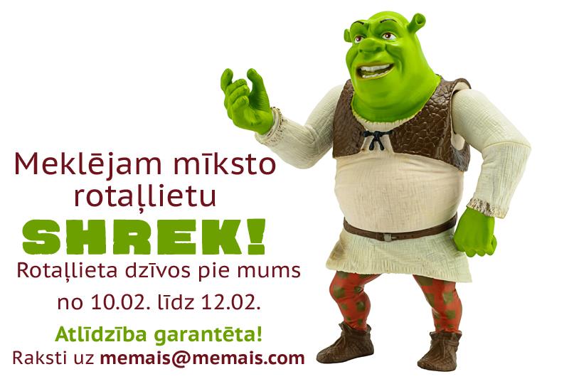 memaiscom's tweet image. Meklējam nestandarta modeli!