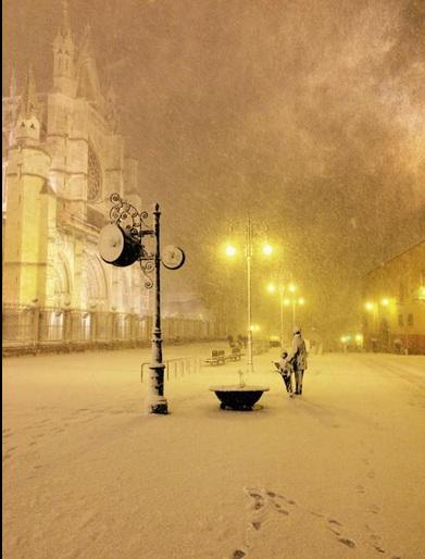 LeonEnfurecido_'s tweet photo. ¡¿Cómo no te voy a querer?! #LeonESP http://t.co/iLUCzMeFCG