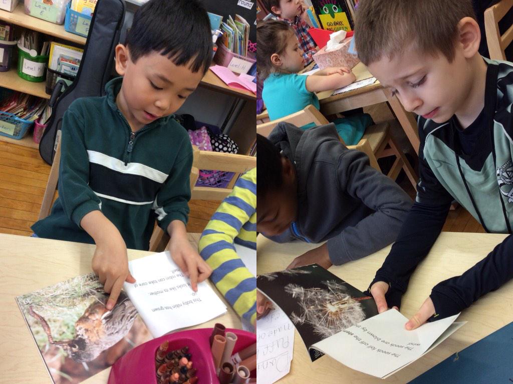 KarenDeGennaro's tweet image. #PS10Reads @PS10Brooklyn #ps10bk #firstgrade