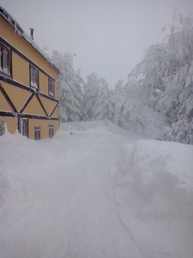 VentaMarcelino's tweet photo. Lo sentimos, hoy no me hemos podido montar la terraza y hay que entrar por la ventana, pero eso sí, estamos abiertos http://t.co/1wdKEcBsUD