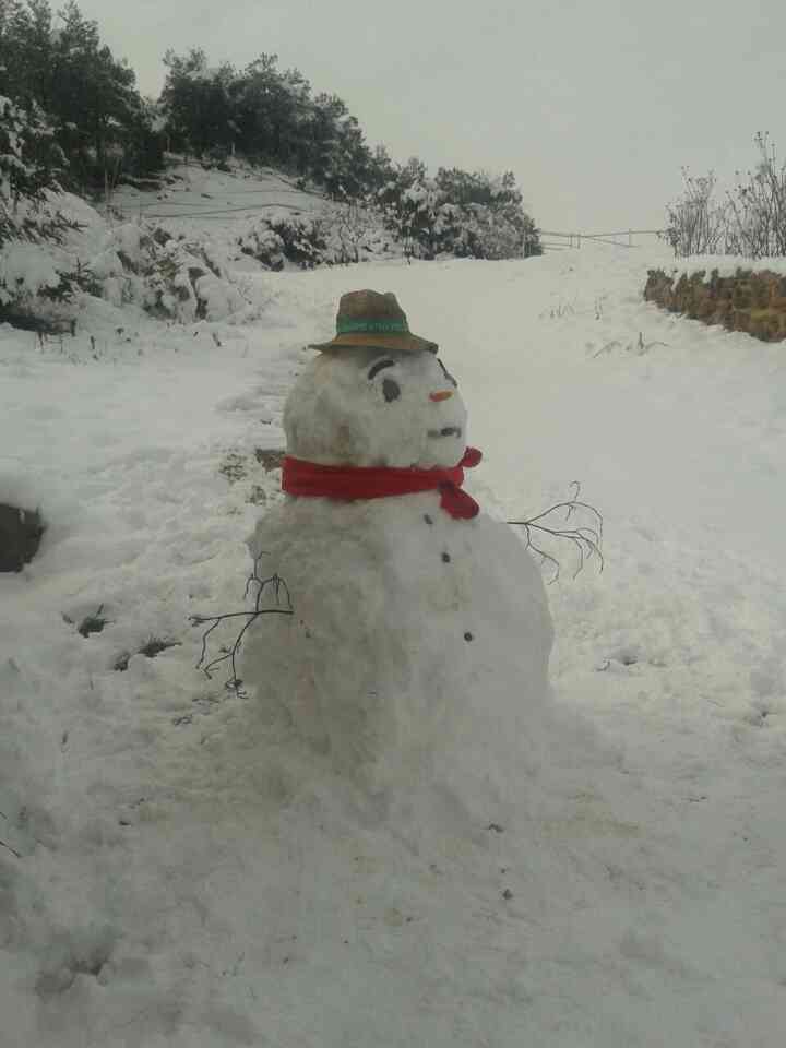 CHlaFou's tweet photo. Sort que ens han vingut a ajudar amb la neu... :-) http://t.co/FWpbncLU4P