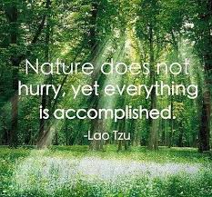 Hippie_of_Love tweet picture