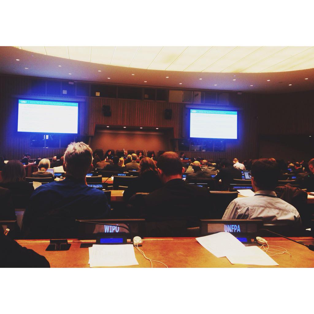 GenZingg's tweet image. Thrilled to be at the 53rd session of the Commission for Social Development! #CSocD53 #intldevelopment #humanrights