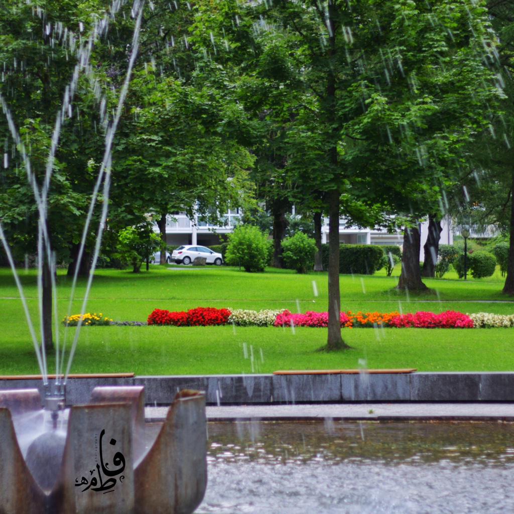 F6owmSh's tweet photo. @grp_ksa1 @BY_MY_CAM @photo_re @cameraty @almswer @IBDA3_Ph @mmgg070 @tswir @PHOTOAar @1mhd 

Insta ; FSH.94 http://t.co/LnwkyqboEh