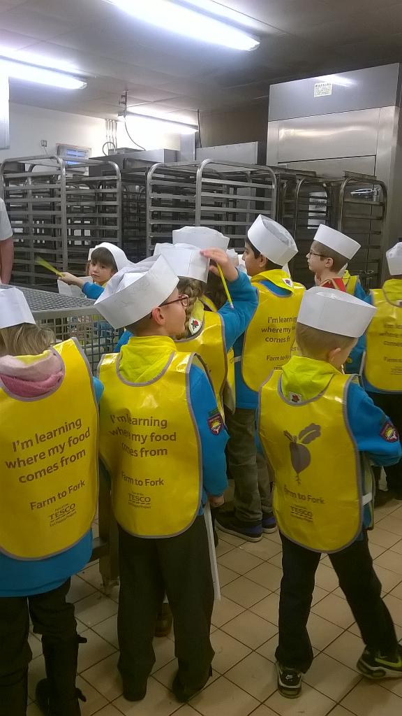 sandie speirs tweet media