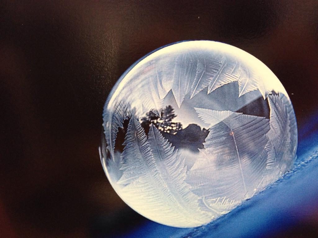 LuckyGirl802's tweet photo. A photographer in Essex creates art out of bubbles! How she does this @wcax tonight. #bubblelady #photography http://t.co/TvacJ1Hrf4