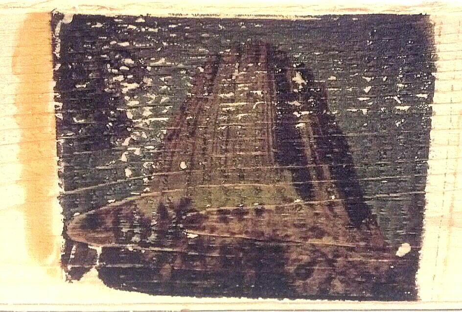 timothywells's tweet image. #Polaroid #Polaroid669