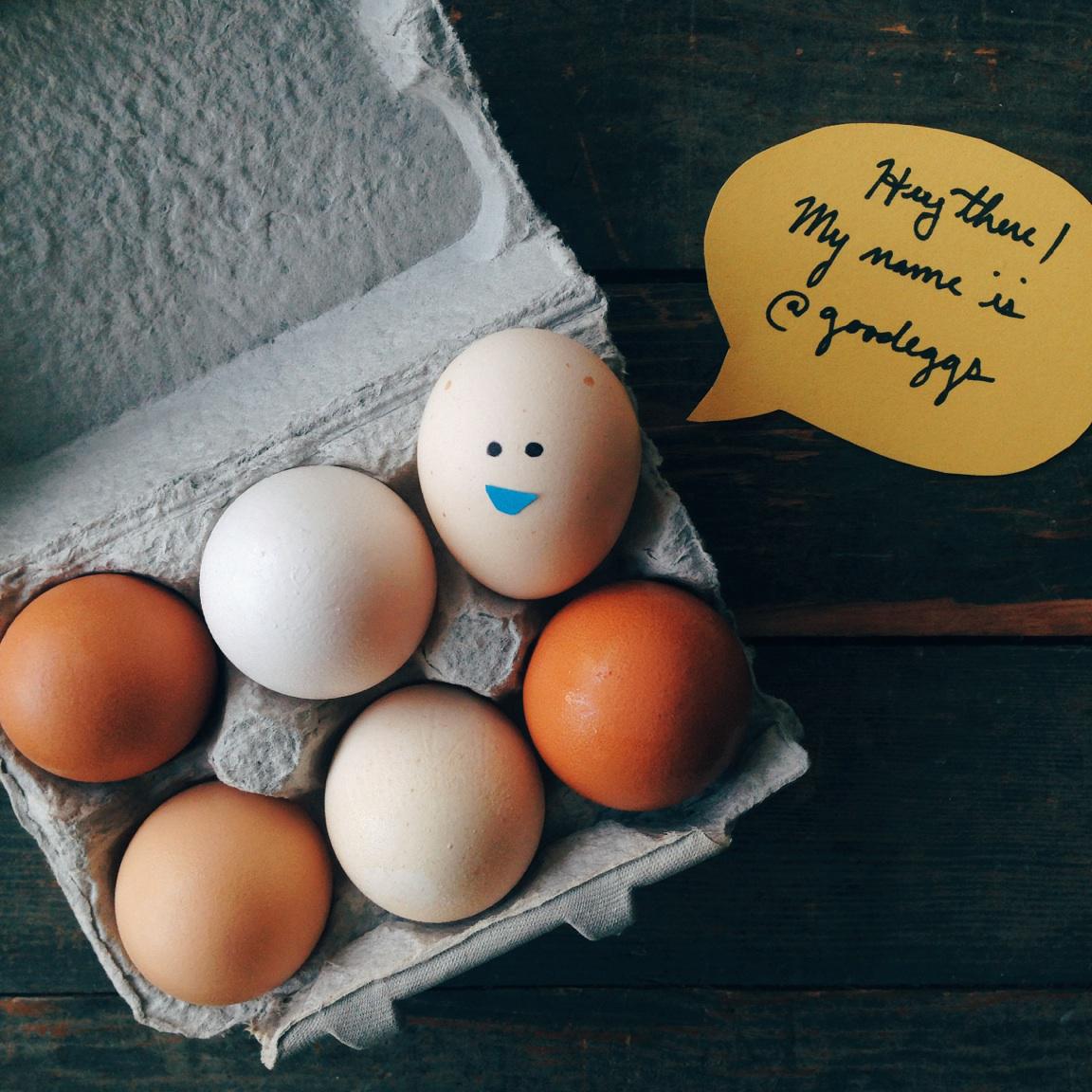 Meet our new Twitter handle, @goodeggs. Follow us there before Feb 9 to keep in touch!