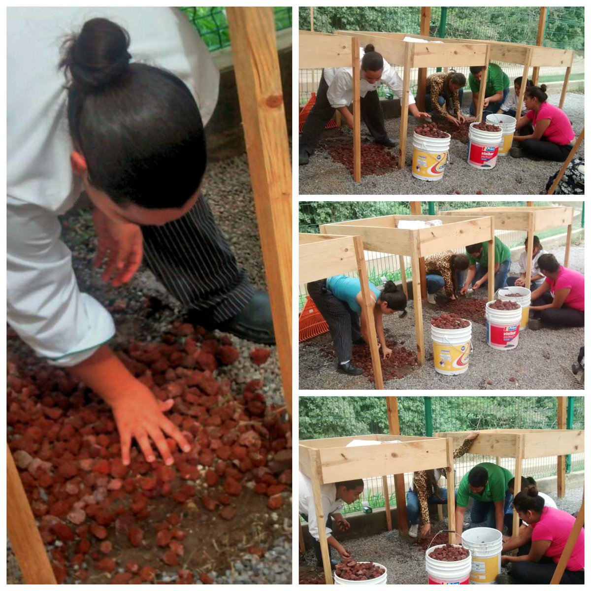 HuertoUTeM's tweet photo. Todos trabajando se ven mas bonitos!! http://t.co/p7KVdpkphP