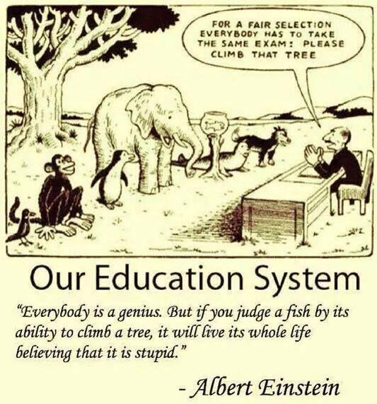 Our #education system....? Oordeel zelf