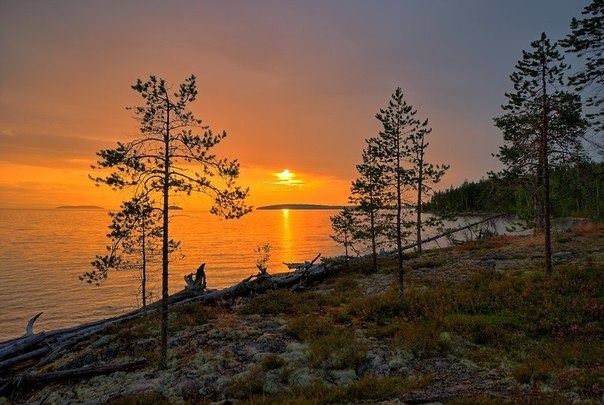 Белые ночи в Карелии. Белые ночи на Онежском озере. Ладожское озеро Сосновый Бор. Ладожское озеро Сосново