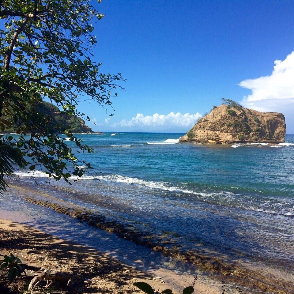 Search Dominica (@searchdominica) on Twitter photo 