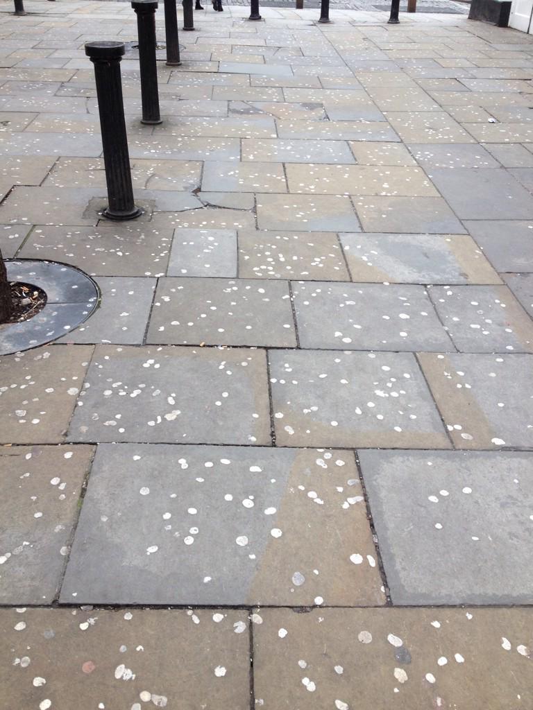 RileyNick's tweet image. #gumgrief @GUMDROPLTD @KirstieMAllsopp "New DNA saliva testing of spat gum could track offenders" #sciencetriumph