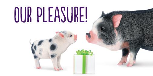 TELUS's tweet photo. @playgroundis And, a gigantic you're welcome to you! http://t.co/Jja66zQDPN