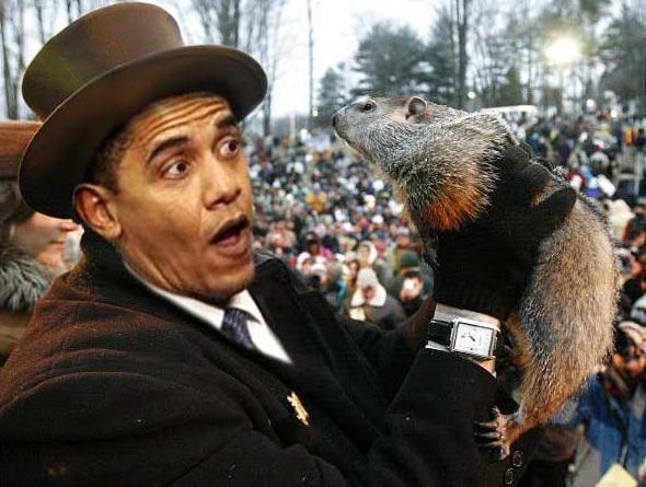 GcsuRepublicans tweet picture