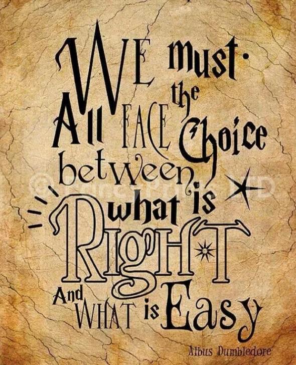 cyp_han44's tweet photo. Favorite book? Harry Potter. Hands down. #30DaysofPurpose ⚡️ http://t.co/OJBxLLLl5s