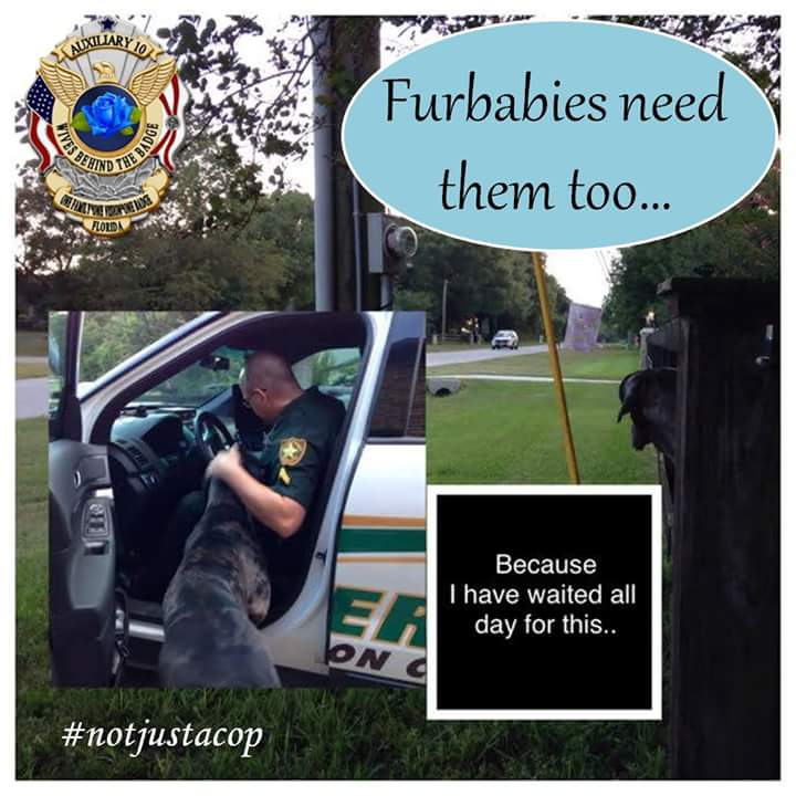 WBTBPoliceWives's tweet photo. #notjustacop #WBTB #humanizingourheroes #ThinBlueLine #police #family @FLAuxWBTB http://t.co/tFaEDoNtMu