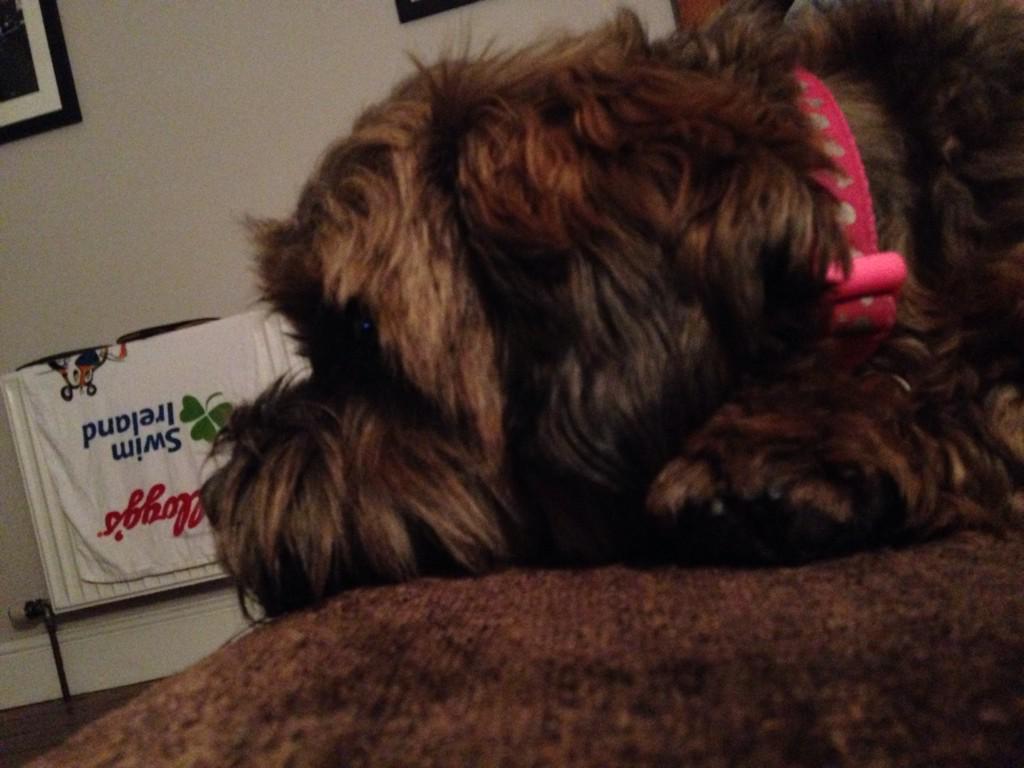 FD_Betsy's tweet photo. Can't wait for @FD_Nigel to get back from shoot http://t.co/Obj6K229UZ